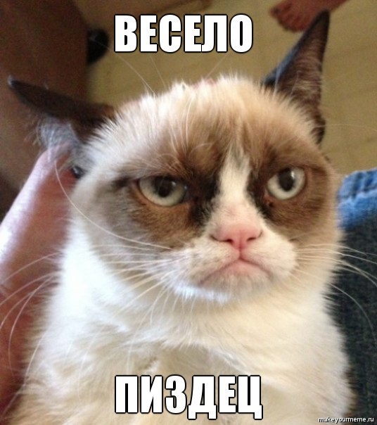 Находчивая котейка