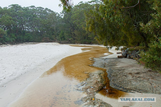 Австралия: Сидней и его окрестности