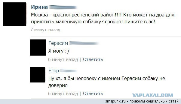 Смешные комментарии из социальных сетей
