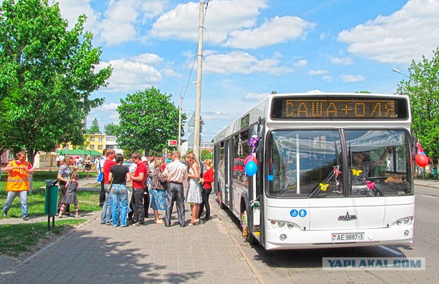 Настоящая свадьба