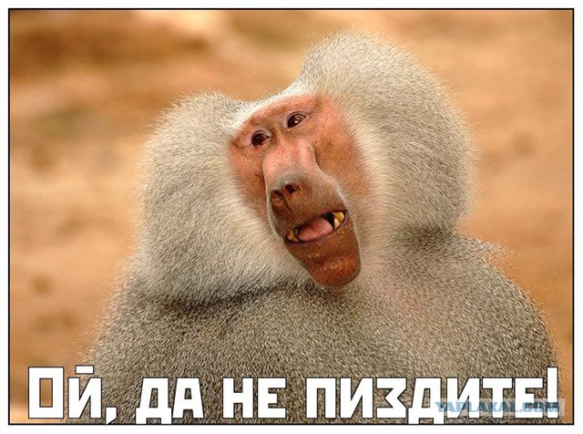 Сироты в бизнес-классе на Олимпиаду