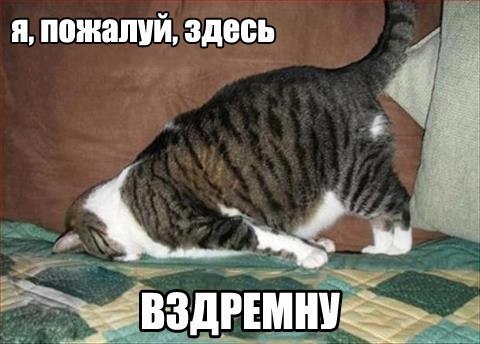 Весёлые картинки. Разбавим будни