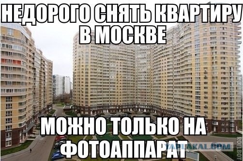 Веселые картинки? а так же комментарии)