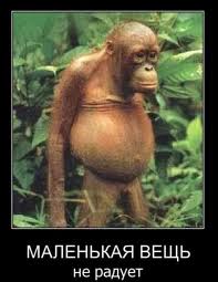 Брачное агентство «ГАРАЖ»