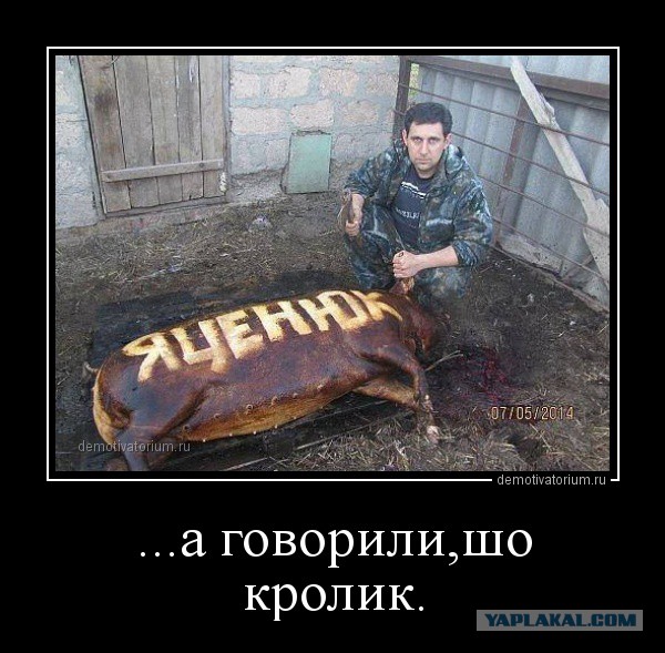 С миру по нитке. Демотиваторов чуть