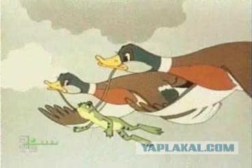 Сюрприз в пакете с салатом