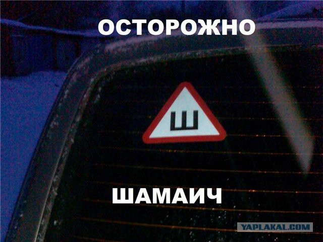 Ученик Шамаича