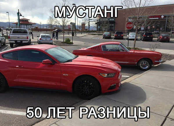 Забавные картинки из Сети