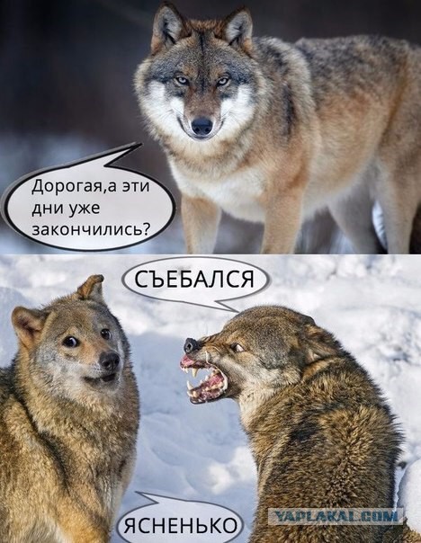 Картинки разные