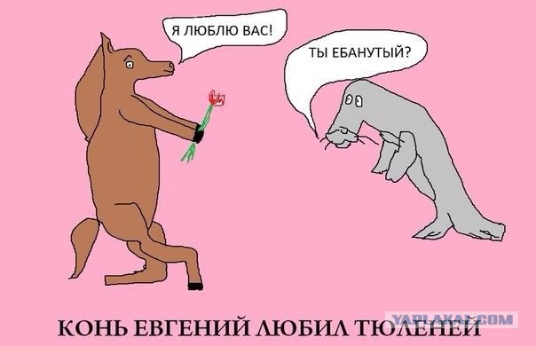 Картинки и приколы из соцсетей