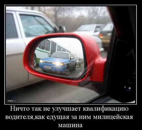 Подборка картинок