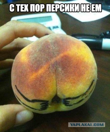 Интересные и веселые картинки