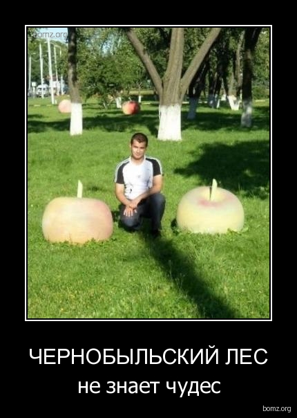 Картинки для поднятия настроения - 4