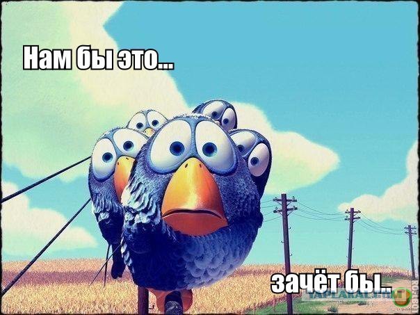 Когда кафедра с чувством юмора