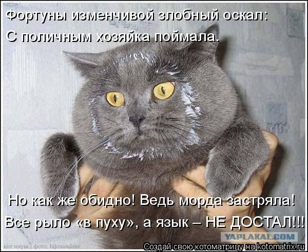Что стало с катамараном "Владивосток" построенном к саммиту АТЭС 2012