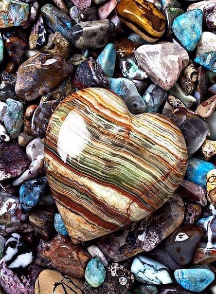 Интересные и веселые картинки