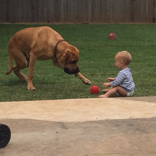 Подборка интересных и веселых фото