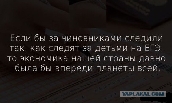 Подборка прикольных и веселых фото