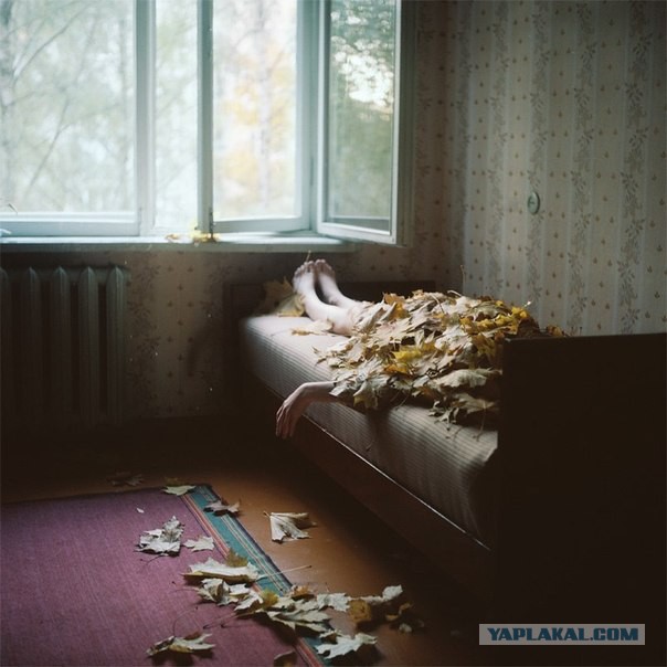 Картинки и приколы из сети