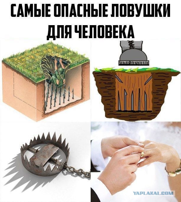 Картинки из инета