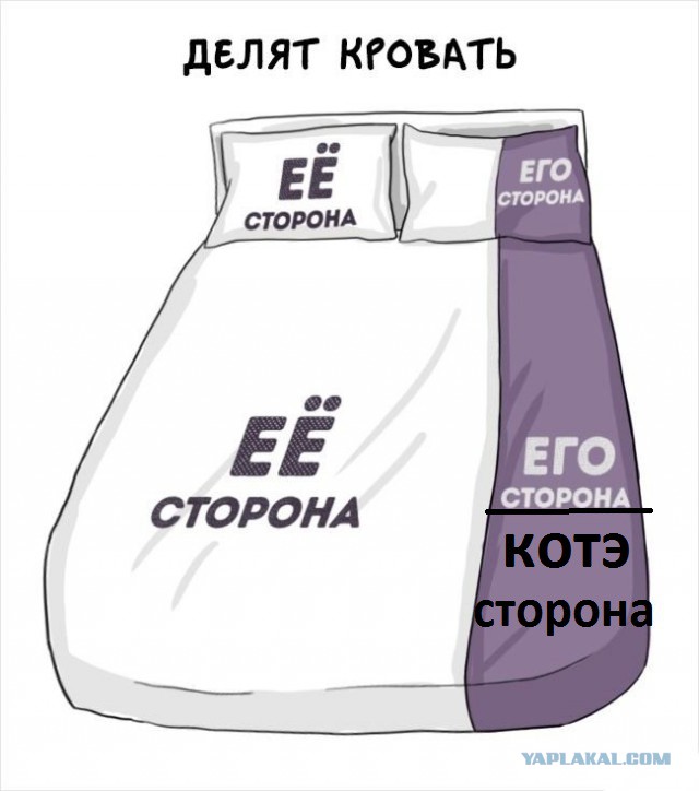 Мужчины vs. женщины: главные отличия