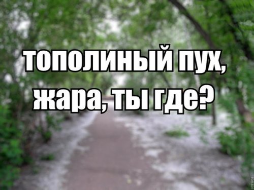 Подборка интересных и веселых картинок