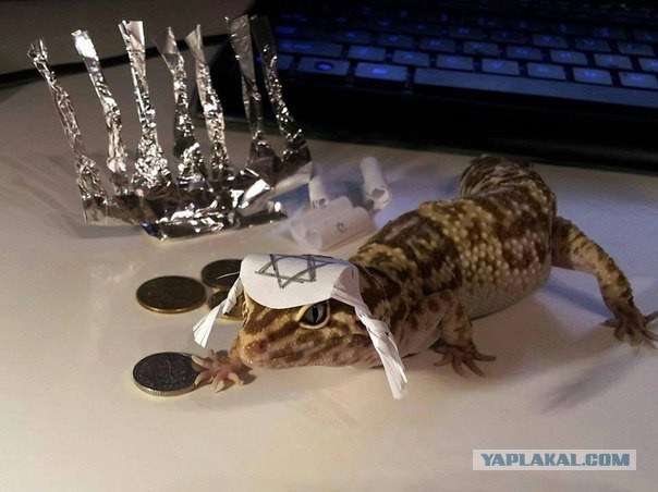 Холокост богоизбранного народа - скрываемая хронология