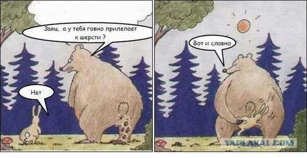 Свадебные кошмары - Невеста на ладошке!