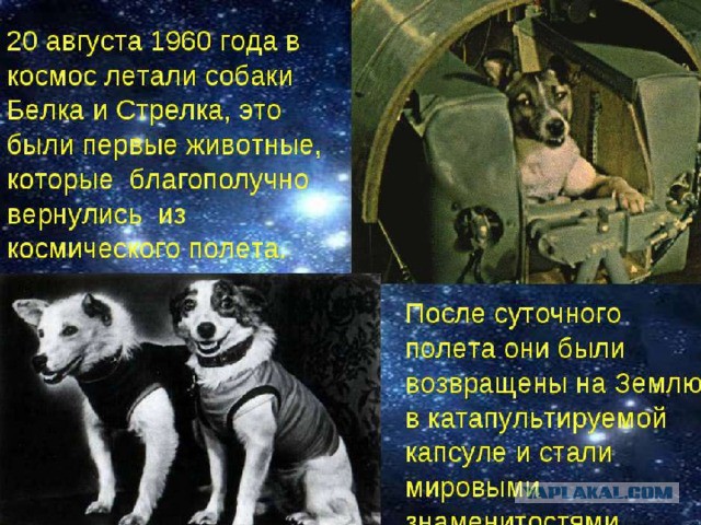 Астрономия станет обязательным предметом в школах с нового учебного года