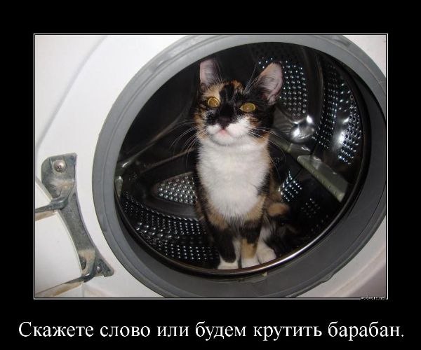 184 картинки для поднятия настроения!