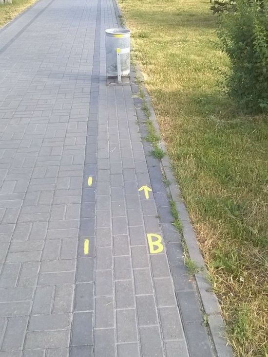 Весёлые картинки