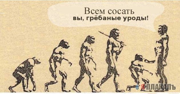 Учебник по эволюции на новый лад
