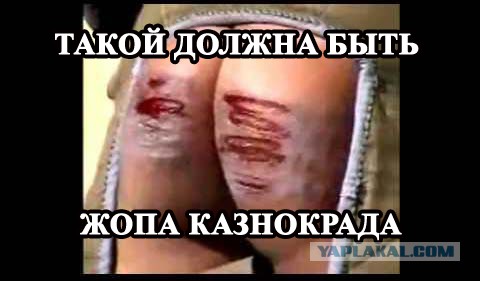 Борьба с фильмами оказывается выгодное дельце