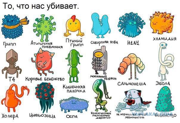 Деградация по-медицински