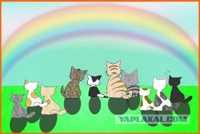 Three Cats Laboratory Escape