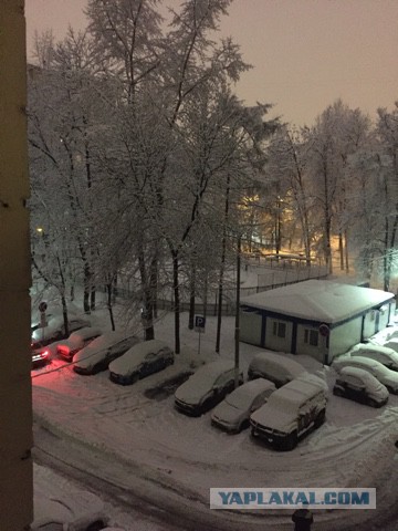 Что случилось в Москве?