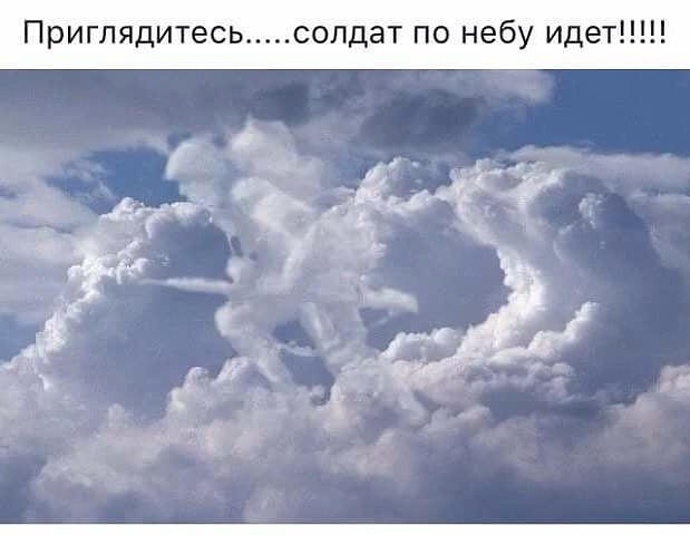 Прикольные картинки обо всём