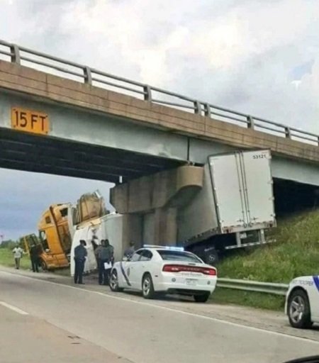 Очаровательные фотографии, в реальность которых сложно поверить