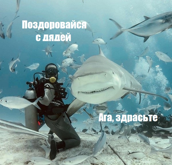 Подборка интересных и веселых картинок 26.11.18