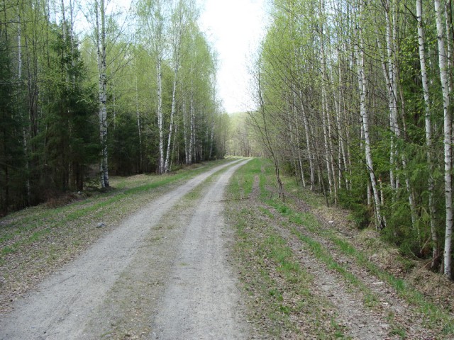 Красота сельских дорог