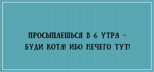 Картинки с надписями и анекдоты