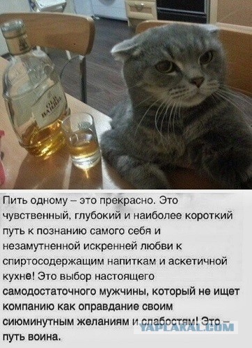 Почему мужчины перестали добиваться девушек