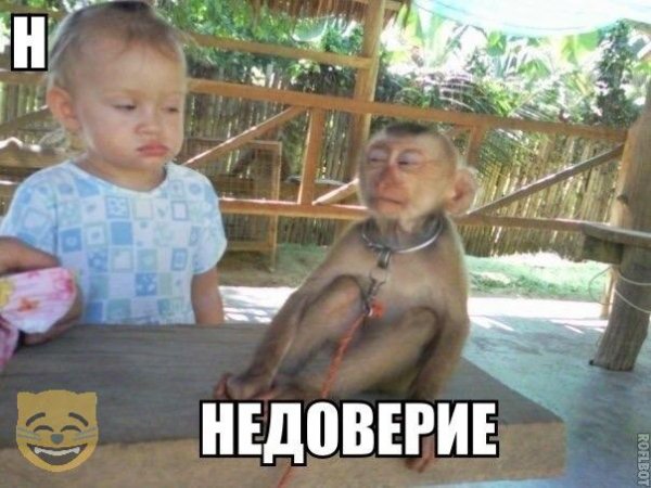 Картинки отовсюду. Часть 3 от 22 октября