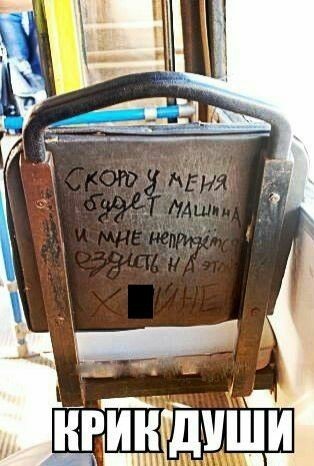 Фотоподброка на воскресенье 03.11.2019