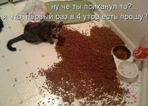 Чуток картинок 11.03.20