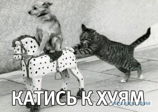 Замученый ковидом я выбился из сил, в аптеке на районе я маски попросил