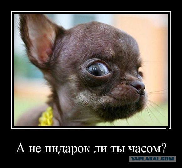 Рогозин после выпуска первого сольного альбома