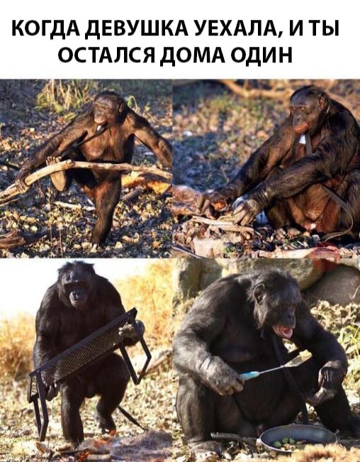 Бредзона 11.11.2020