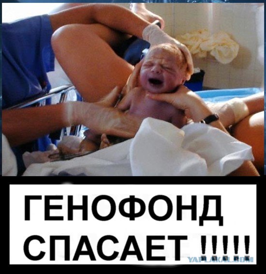 Фотожаба: Бурение убивает