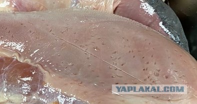 Производители вы там вообще страх потеряли?